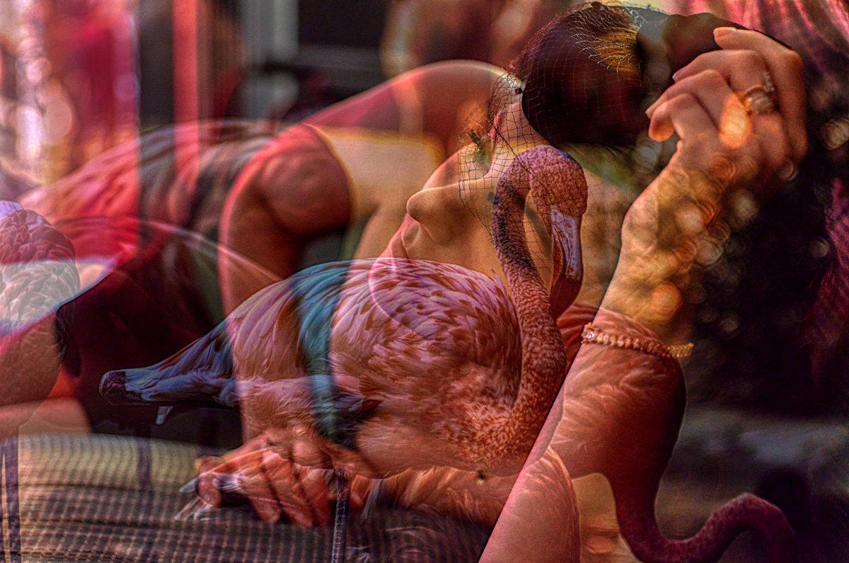 Dr Joseph M. Feagan tweet media