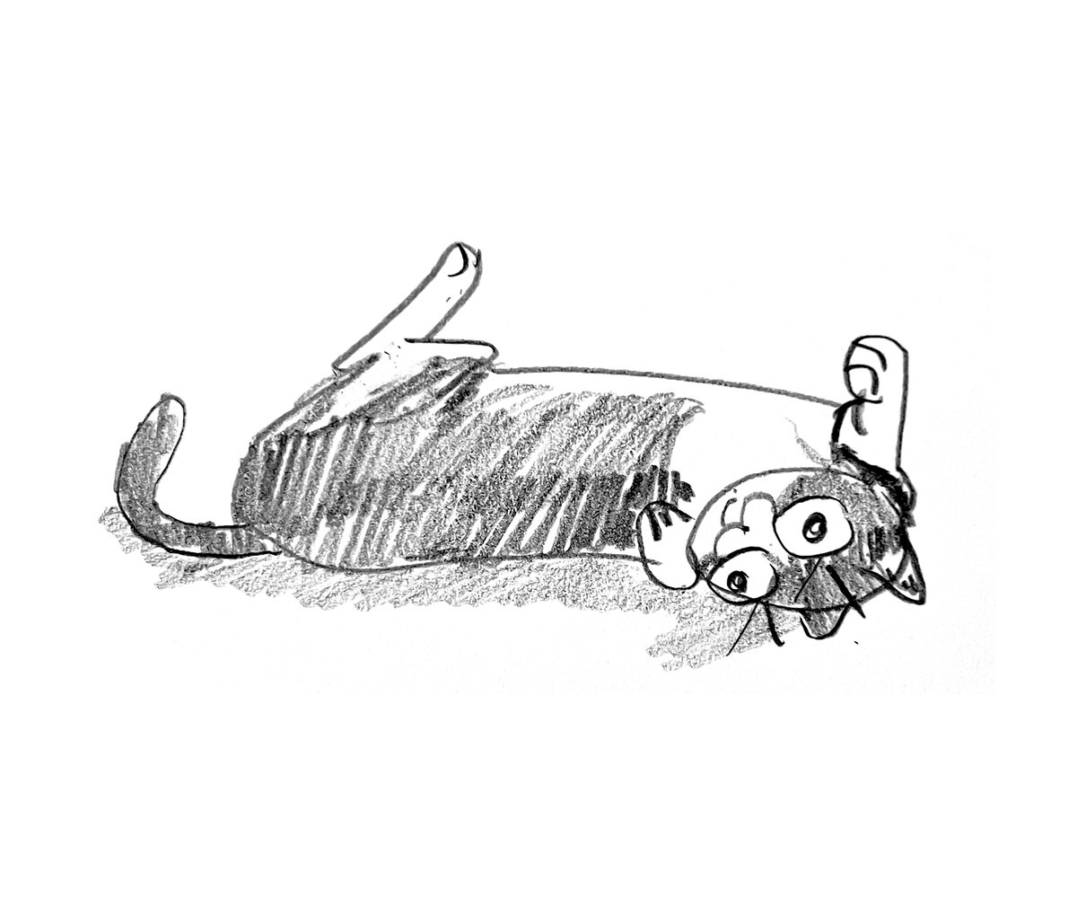 haaarpb's tweet photo. *roll* https://t.co/OjBl3tejda