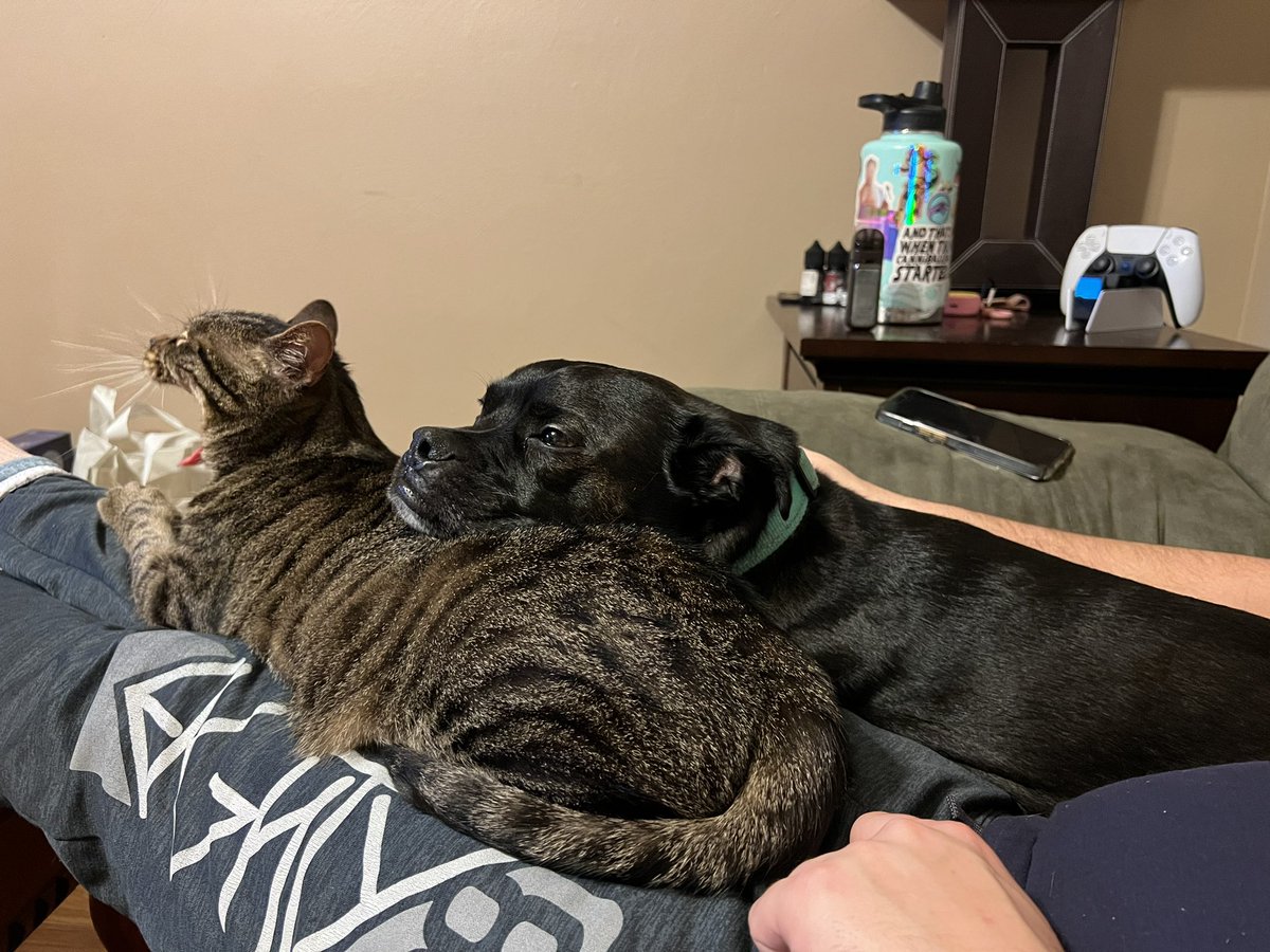 darcyleegray's tweet image. THE MOST PRECIOUS THING I’VE EVER WITNESSED 🥹😭 i cry