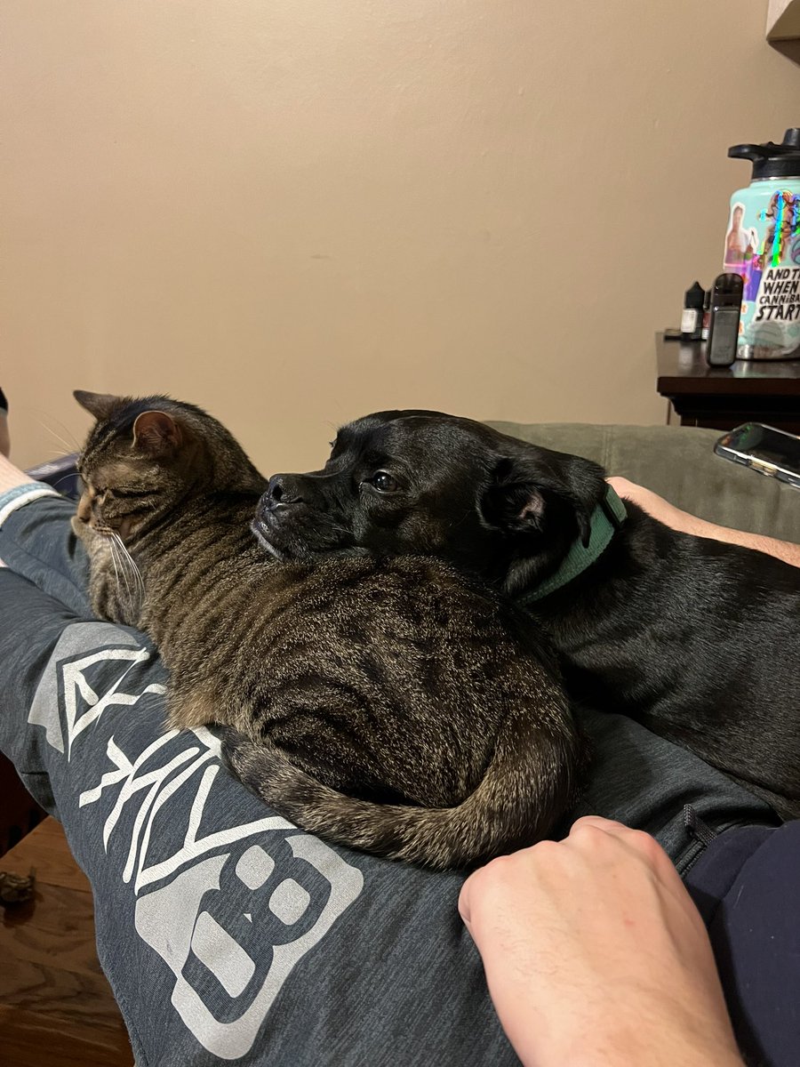 darcyleegray's tweet image. THE MOST PRECIOUS THING I’VE EVER WITNESSED 🥹😭 i cry