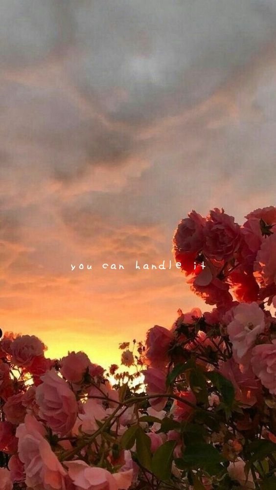 桃 Сакура 甘い (временно на другом аккаунте) tweet media