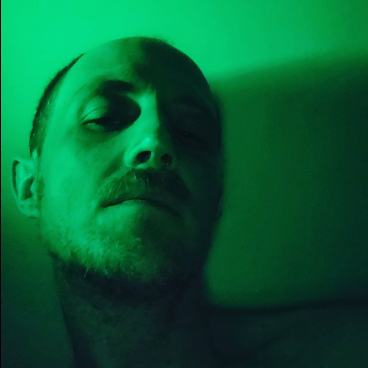 steviantx's tweet photo. So green 🌲 https://t.co/yaw06U9lS3