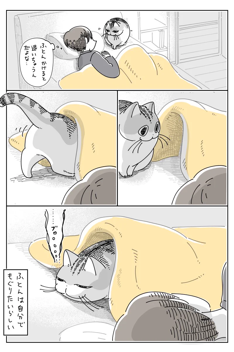猫飼いさんは思わず共感しちゃうかも？丸まっている猫に布団をかけてあげるも･･･！