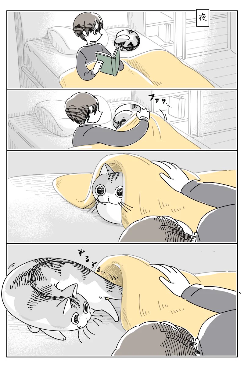猫飼いさんは思わず共感しちゃうかも？丸まっている猫に布団をかけてあげるも･･･！