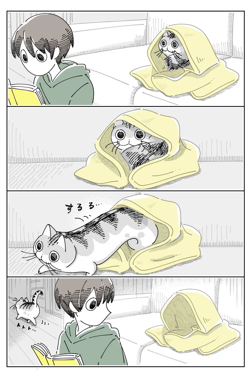 猫飼いさんは思わず共感しちゃうかも？丸まっている猫に布団をかけてあげるも･･･！