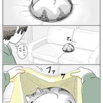 猫飼いさんは思わず共感しちゃうかも？丸まっている猫に布団をかけてあげるも･･･!