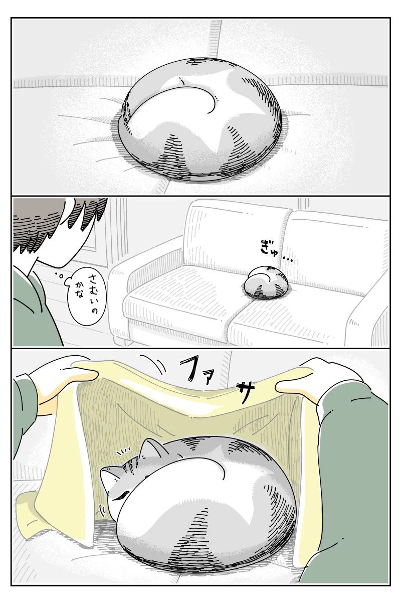 猫飼いさんは思わず共感しちゃうかも？丸まっている猫に布団をかけてあげるも･･･！
