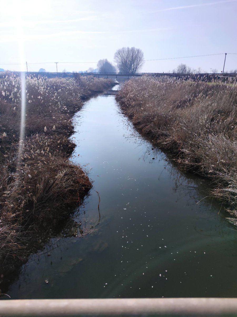 Eye4water tweet media