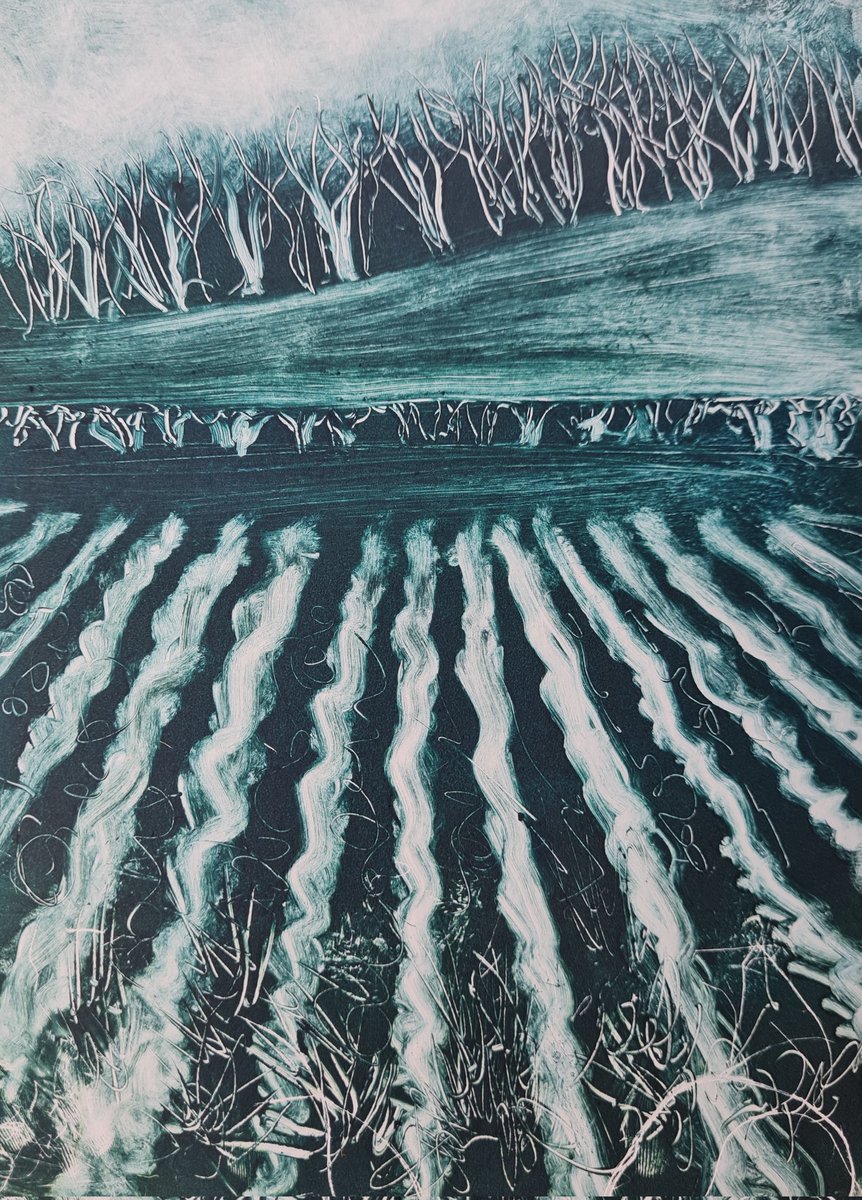 jcurtisart's tweet photo. #fieldlines monoprint demo from yesterday https://t.co/cB4eagty84