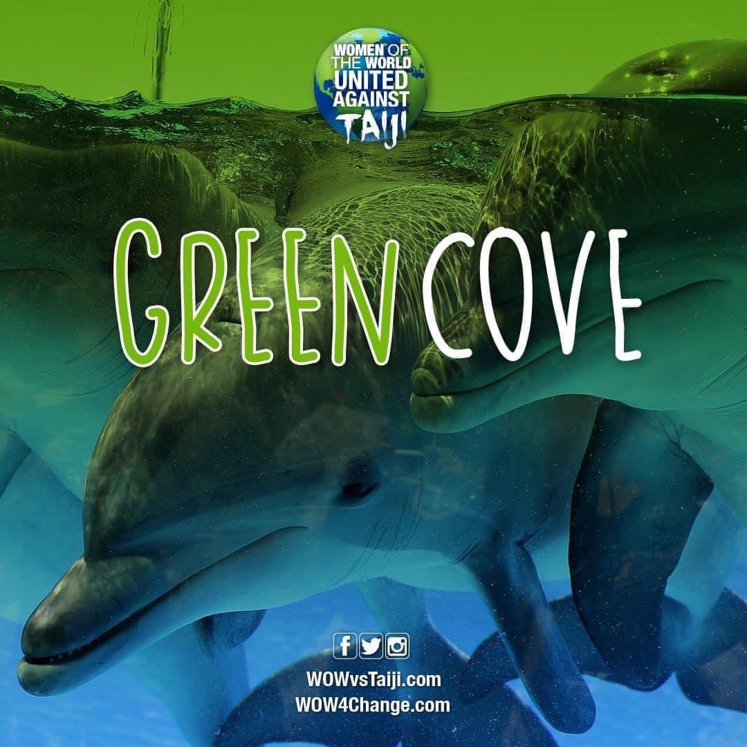 karensarah66's tweet image. 🤬 RED &amp;amp; GREEN COVE 24/2/23 🤬 2 pods driven to the cove in #Taiji joined together. 2 dolphins taken for a life of captivity, some slaughtered, others driven out to sea. #EndTaijiHunts  #makeastand @WOWvTaiji make your voice and actions count #DontBuyATicket