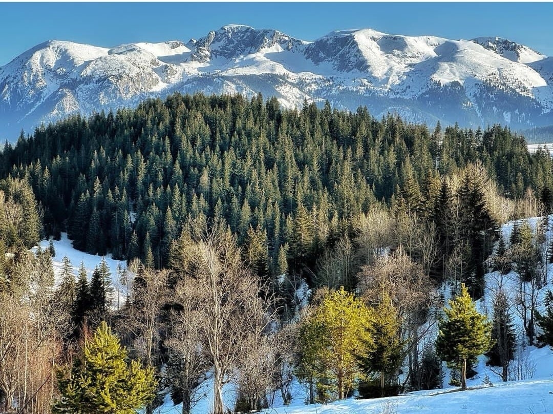 Beautiful Rugova 🌞🥇👌🏔️❄️
°
Insta: @gresaphotography
°
#visitpeja #pejatourism #kosova #visitkosova #winter #winterwonderland #winteradventures #snow #nature #naturelover #travel #travelinspiration #mountains #adventure #snowshoe #adventuretourism