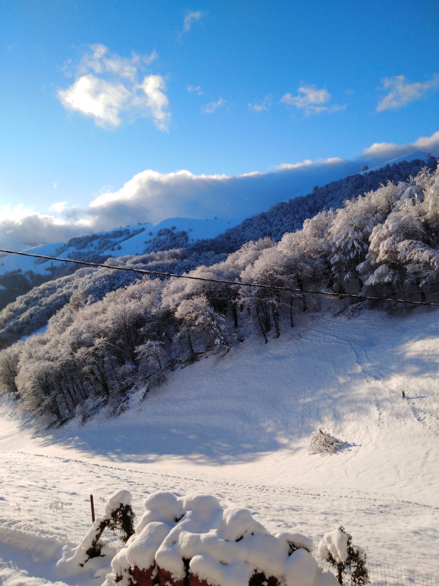 irulegi_irratia tweet picture