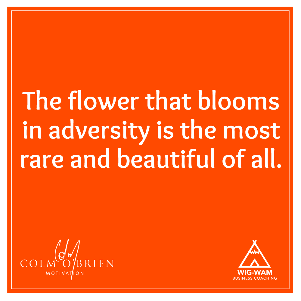COBMotivation's tweet photo. #WorkPlayLive #WIGWAMWisdom #CoffeeWithColm #FridayFulfilment https://t.co/TPqrnAMz4t