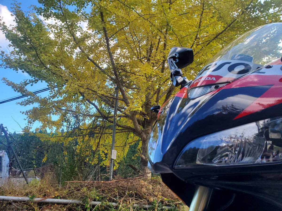 tarotarobikes's tweet photo. 2022/11/03の思い出👍

・HONDA/CBR1000RR
・YAMAHA/TRACER
・Buddyのk16とは、
20年からの付き合いなのに、
中々時間が合わなくて
やっと初ツーリング❣️
奈良県宇陀郡御杖村までBBQ🍖

#honda
#cbr1000rr
#yamaha
#tracer
#ツーリング https://t.co/yOSm1p2VPp