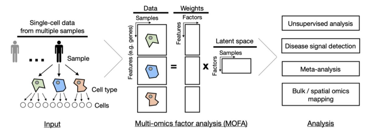 Cross-condition single cell data are essential for biomedicine💊🏥 and tissue-centric descriptions are needed. We propose a 💻 framework for its sample-level unsupervised analysis and the estimation of multicellular programs. 📄You can read the preprint at tinyurl.com/mvptmsem