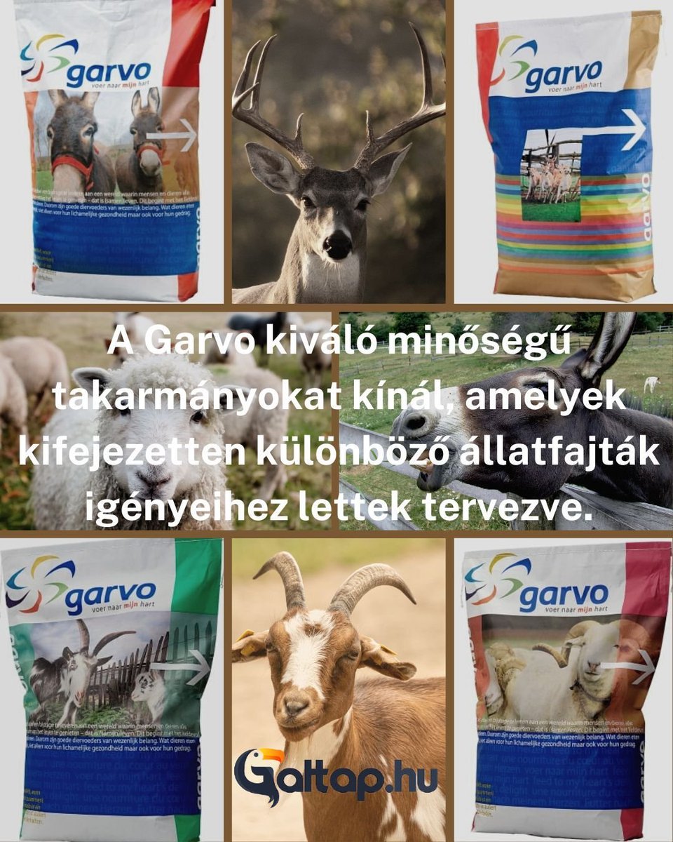 GaltapM's tweet photo. Szamár -, szarvas -, kecske -, birka pellet A Garvó kiváló minőségű takarmányokat kínál, különböző állatfajták igényeihez szükségesek tervezve. https://t.co/N5BTNNFL9Y #galtap #szamárpellet #birkapellet #kecskepellet #szarvaspellet https://t.co/fUgMATfHoC