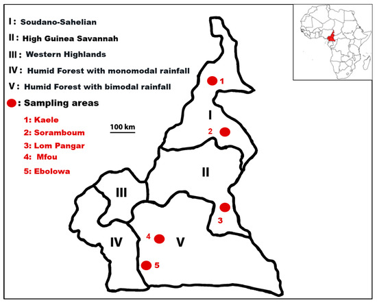 Pathogens_MDPI's tweet photo. #Ticks and #Rickettsiae Associated with Wild Animals Sold in Bush Meat Markets in Cameroon
by Archile Paguem et al.
Full-Text https://t.co/c7CIToh3No
#TickBornePathogens https://t.co/xxli3owDcm