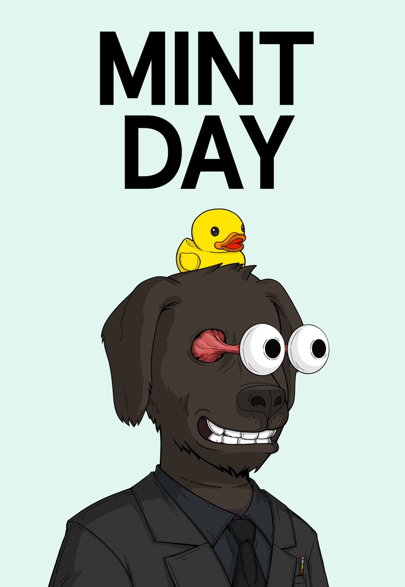 rektdogs's tweet photo. Today is the day ! 🚀🚀🚀👀👀👀 https://t.co/rHOfGc4RXx