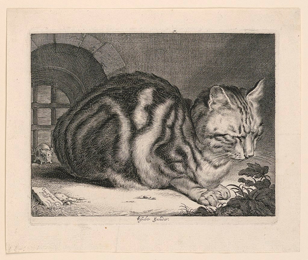 The Large Cat by Cornelis Visscher (1657)