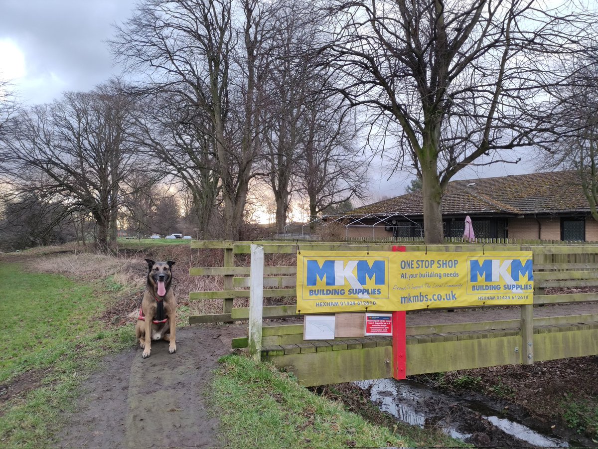 Do you think Hexham <a href="/mkmbs/">MKM Building Supplies</a> would like to sponsor me? My rates are very reasonable!