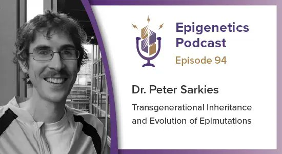epigenetics_pod's tweet photo. In episode #94 we caught up with @PSarkies from University of Oxford Biochemistry to talk about his work on #Transgenerational Inheritance of #Epimutations. #chromatin #epigenetics #podcast 

Listen here: https://t.co/MHv09Ur7O2 https://t.co/x7czj5J5Jq