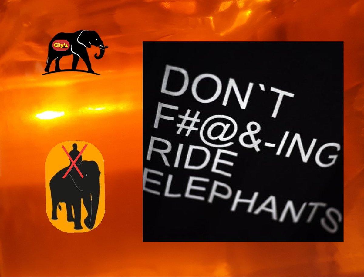 CitysFElephants's tweet image. 🐘#Elephant ’s back caves in after 25 years of tourist rides in Thailand

Photographs show that Pai Lin’s spine, which should naturally be rounded and raised, is caved in and sunken from the heavy weight of repeated work. 1/2

👓
thethaiger.com/hot-news/touri…

#Donotrideelephant