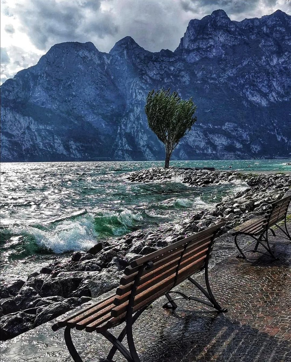 GardaOutdoors's tweet image. #Torbole sul Garda is one of the best known and most visited tourist centers. Wind for water sports and breathtaking views for those who love nature. 
#gardaoutdoors

👉🏼garda-outdoors.com/en/torbole-sul…

📸Marzia Piccinelli