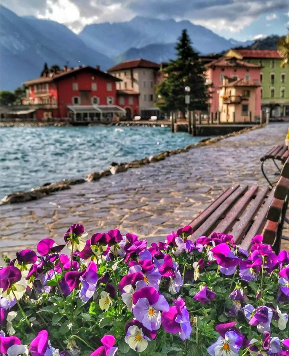 GardaOutdoors's tweet image. #Torbole sul Garda is one of the best known and most visited tourist centers. Wind for water sports and breathtaking views for those who love nature. 
#gardaoutdoors

👉🏼garda-outdoors.com/en/torbole-sul…

📸Marzia Piccinelli