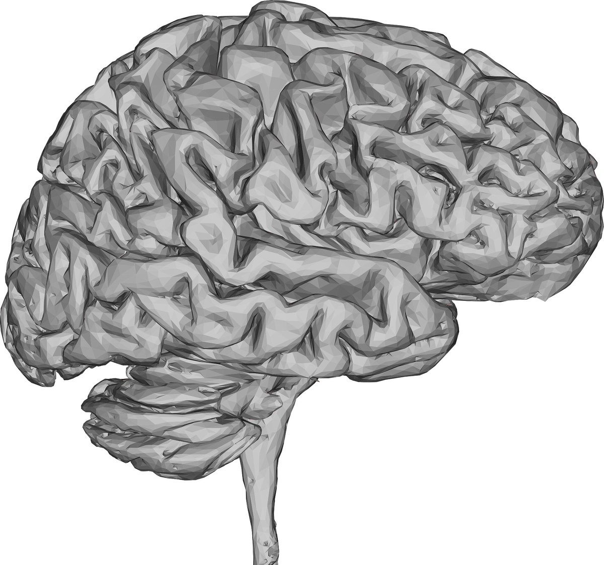 InphluTest's tweet image. A research team provides a review of three-dimensional (3D) visualization techniques for medical images, intending to bridge the gap between medical experts and visualization
 medicalxpress.com/news/2022-05-3…
 #Datavisualizationtechniques