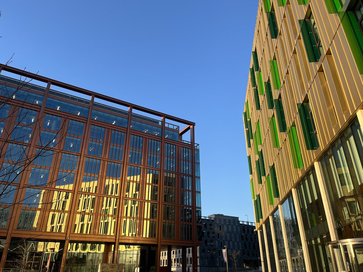 Holly Shiel-Redfern tweet media