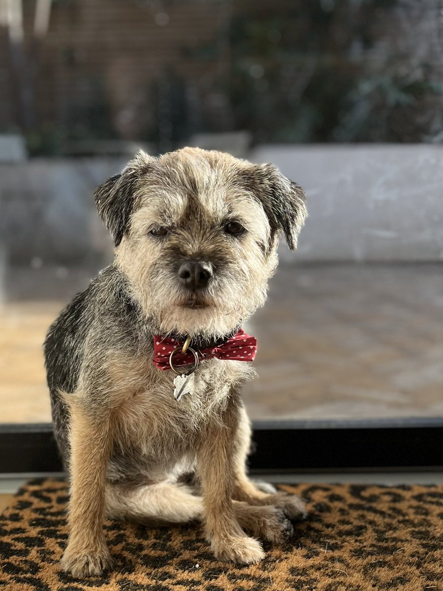 Border Force tweet media