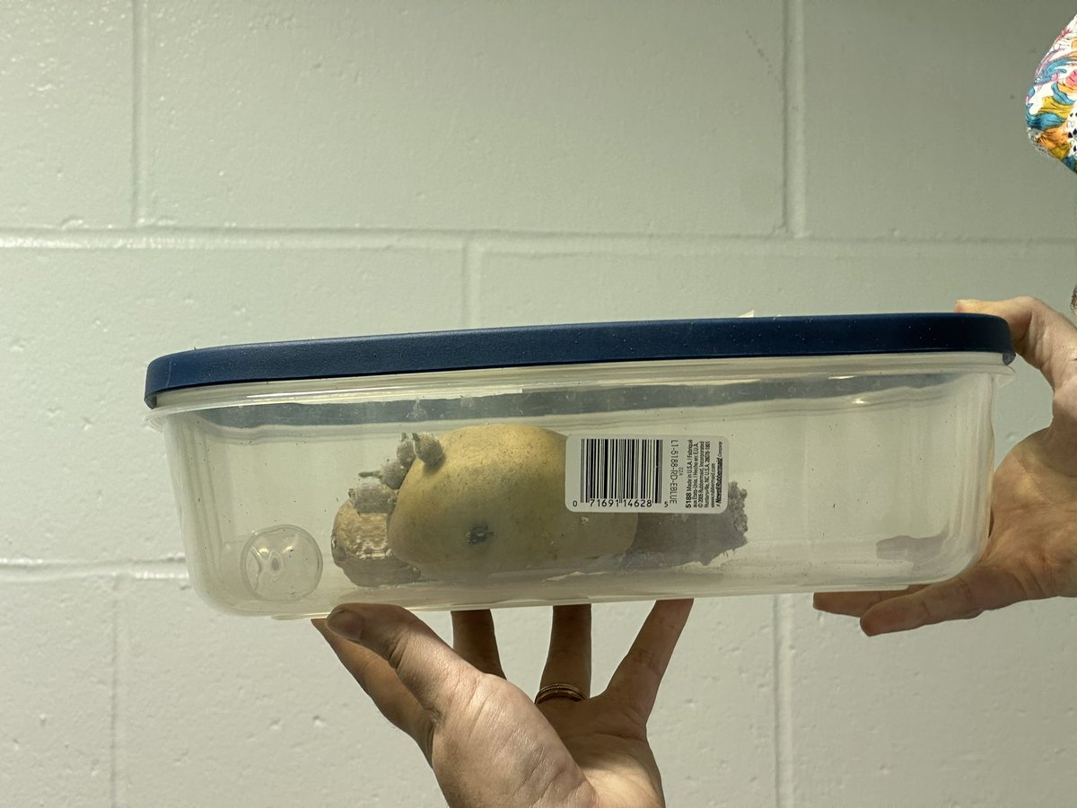 UFIFAS_IRREC's tweet photo. Dr. Matthew Thomas, who leads the #UF_IFAS Invasion Science Research Institute, joins #UFIFASIRREC professors Dr. Carey Minteer and Dr. Nicole Quinn on a tour of the Norman C. Hayslip Biological Control Research and Containment Laboratory. 

#NISAW2023 #MinteerLab #QuinnLab https://t.co/oMHNSkcfrt