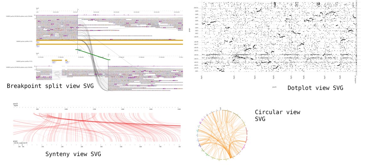 usejbrowse's tweet image. JBrowse v2.4.0 released, with new dark theme and SVG export capability added to the circular, synteny, and dotplot views jbrowse.org/jb2/blog/2023/…