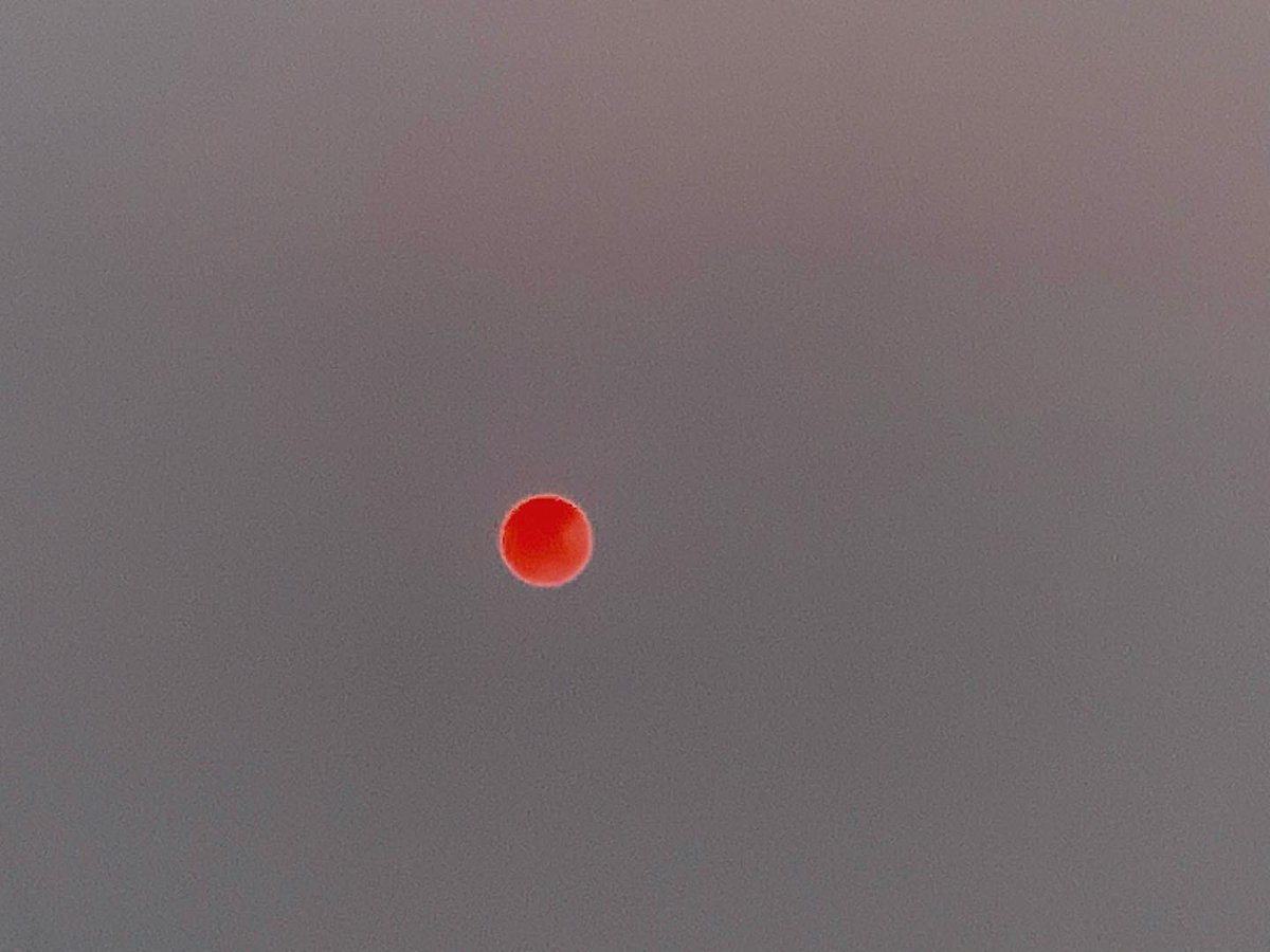 Its_Salahuddin1's tweet image. Pink sun 

Picture credit: Myself 

#nature #naturelovers #pinksun