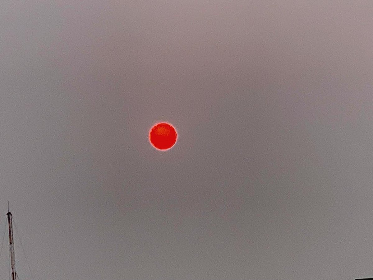 Its_Salahuddin1's tweet image. Pink sun 

Picture credit: Myself 

#nature #naturelovers #pinksun