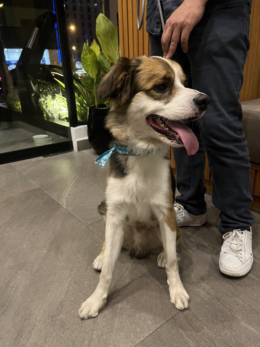 Elizabeth Acuña tweet media