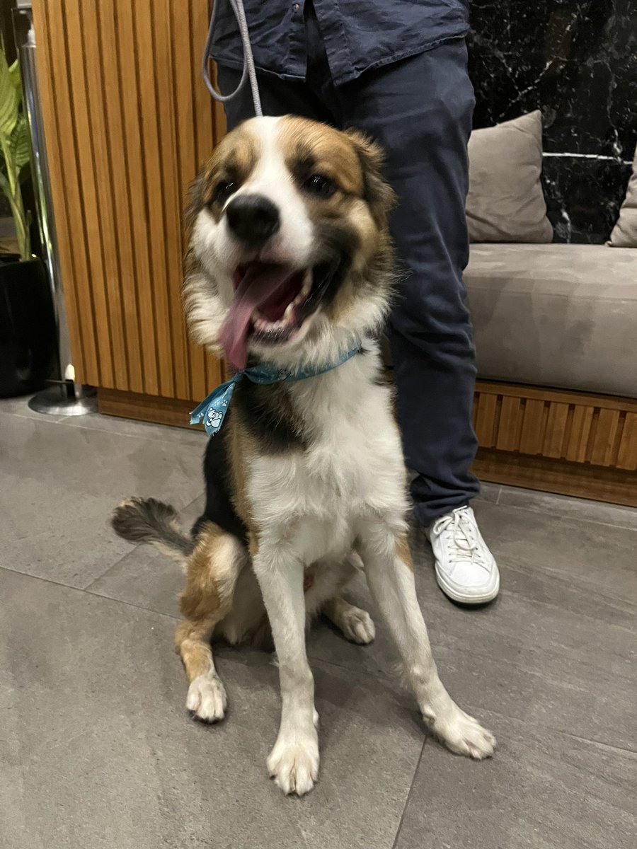 Elizabeth Acuña tweet media