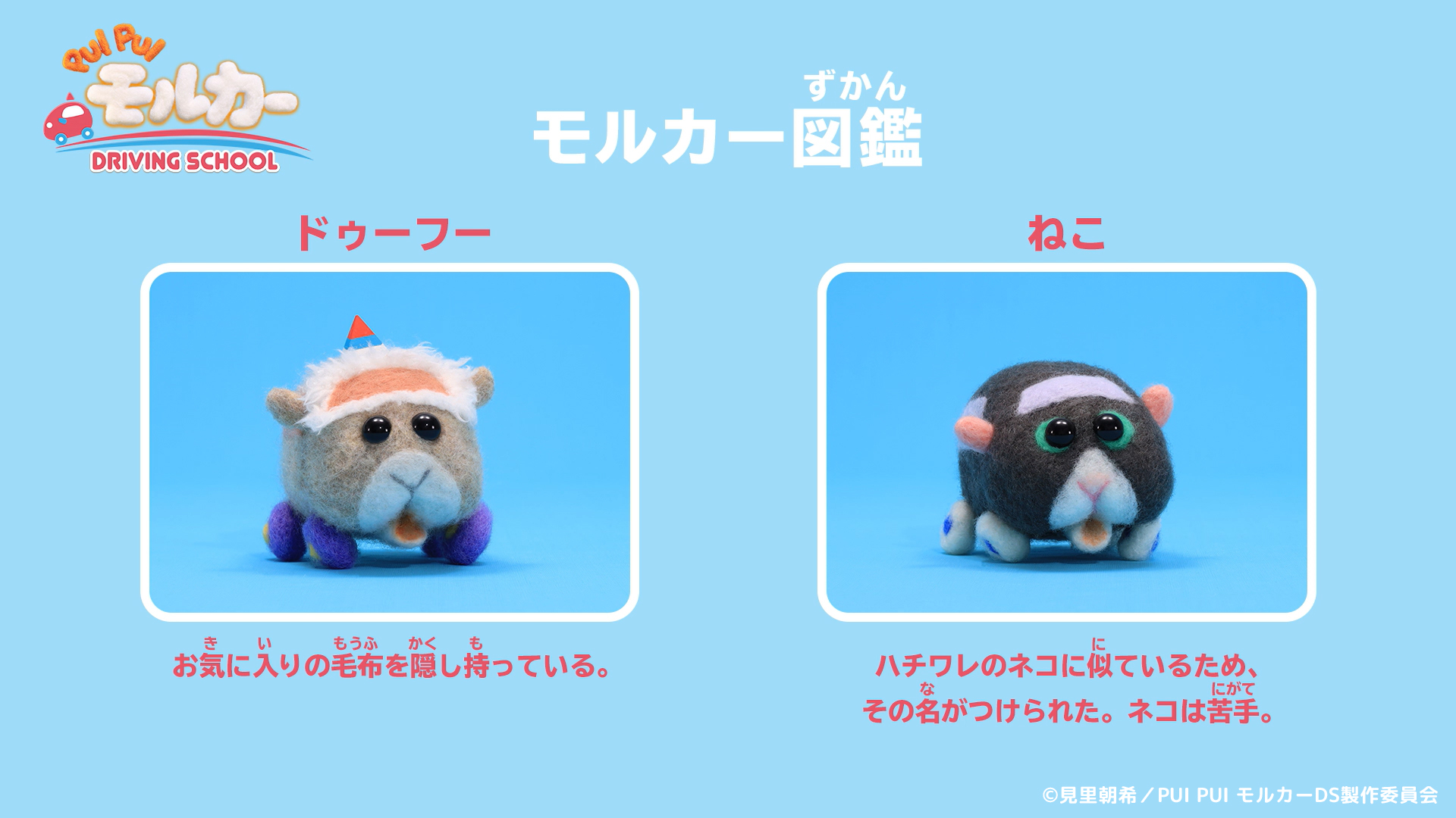 PUI PUI モルカー【公式】 on X: 