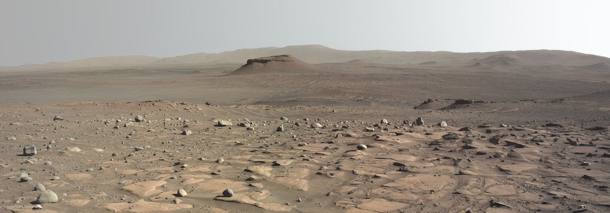 Latest in space tweet media