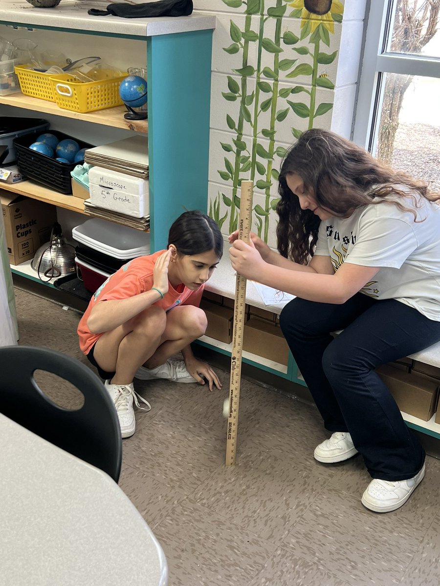 sarah61286's tweet photo. Investigating motion and stored energy using ping pong balls and marbles. We also discussed the difference between transferring and transforming energy. @barkleybridge #energyforms #motionvstored #transfervstransform https://t.co/wEMzAac2C5