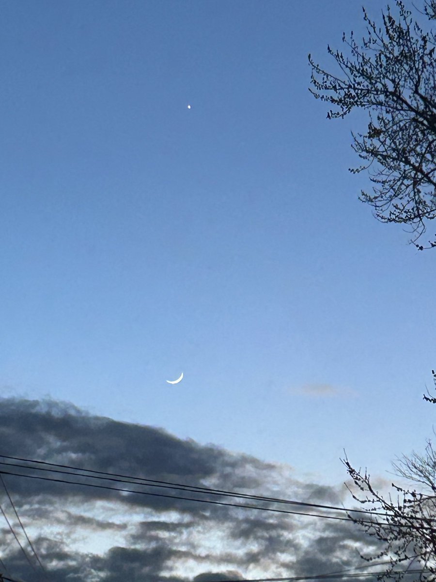 Venus above the moon