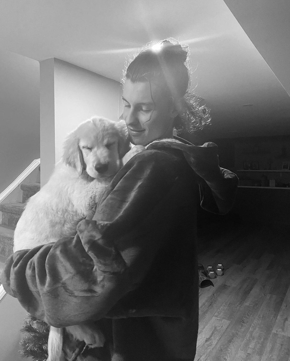 retweet to have shawn and tarzan back together🥲#TTJFCShawnMendes