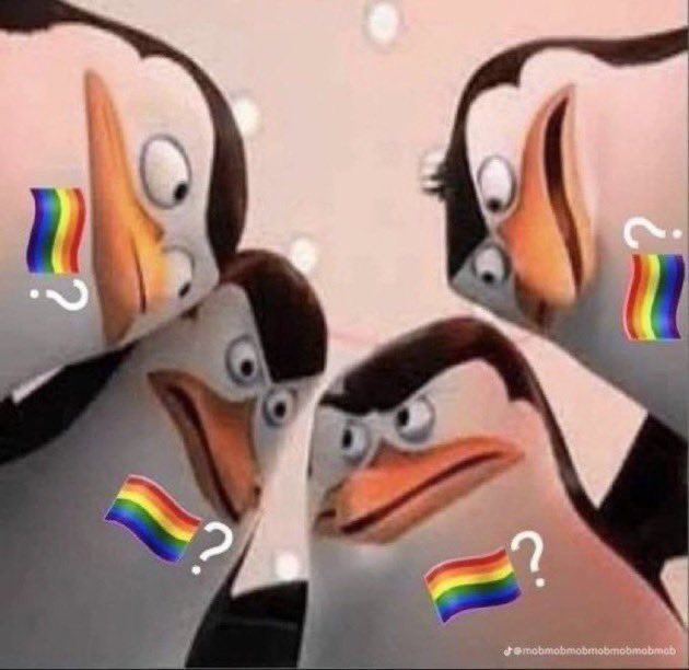 lvsslouis_'s tweet image. pov: el festival viña del mar