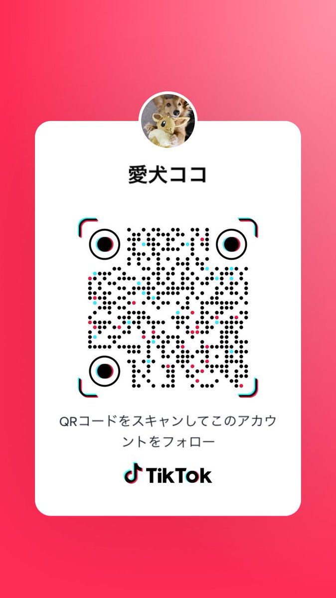 kazzlab's tweet image. 