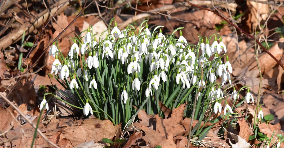 Mike B 🇺🇦 tweet media