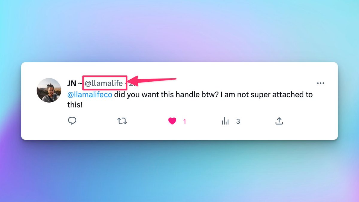 Marie Ng 🦙 tweet media