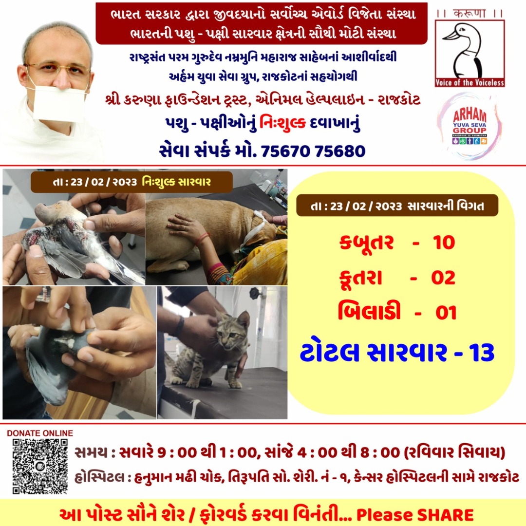 Mital Khetani tweet media