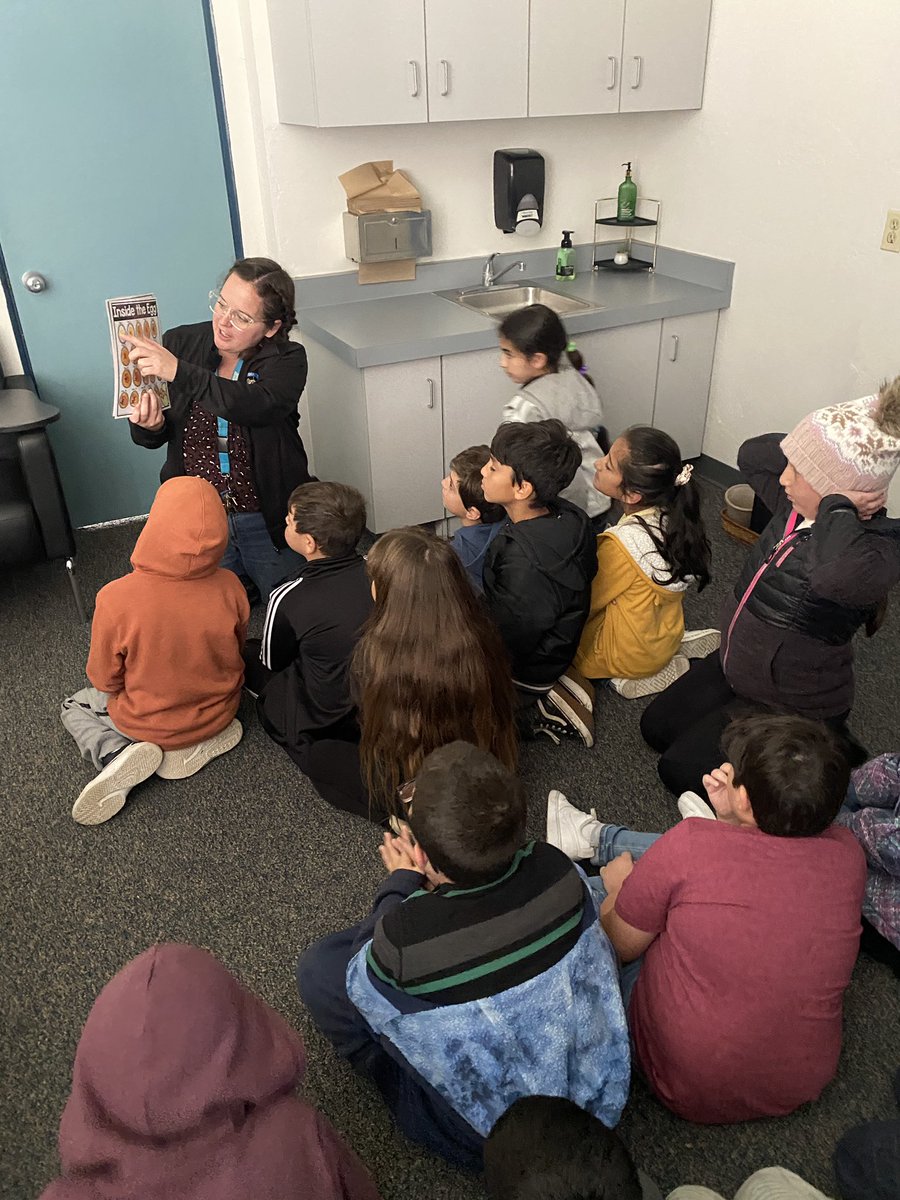 Alyssa Brunow (MR) tweet media