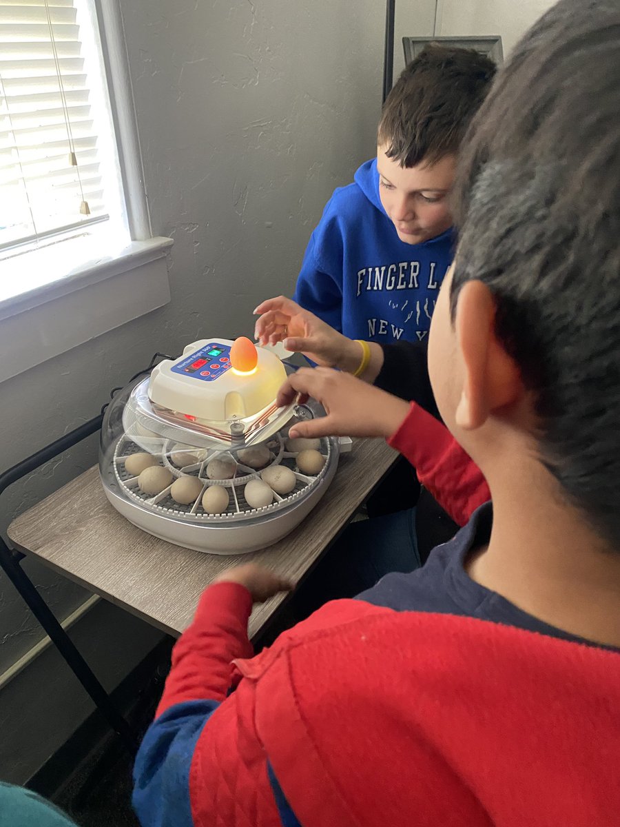 Alyssa Brunow (MR) tweet media