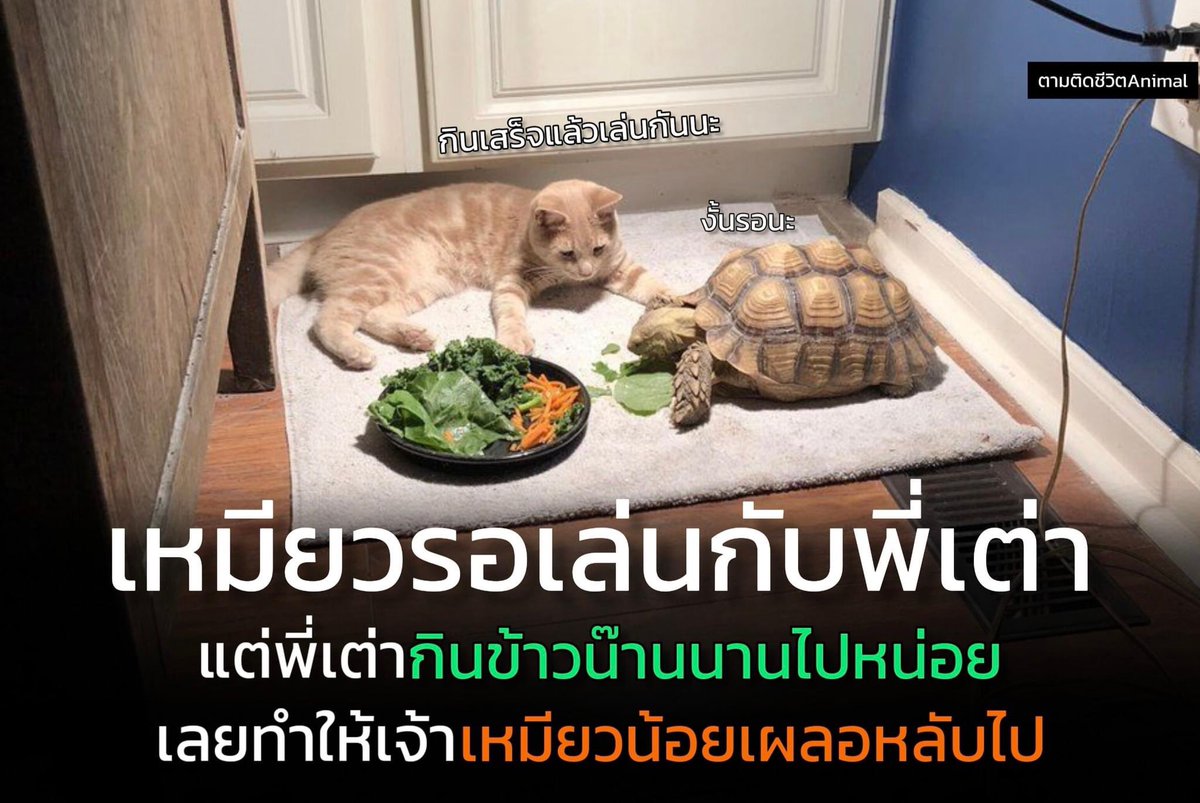 stylepearypiee's tweet photo. งืออ น่ารักกกกกกด https://t.co/WWMZlNZOOD